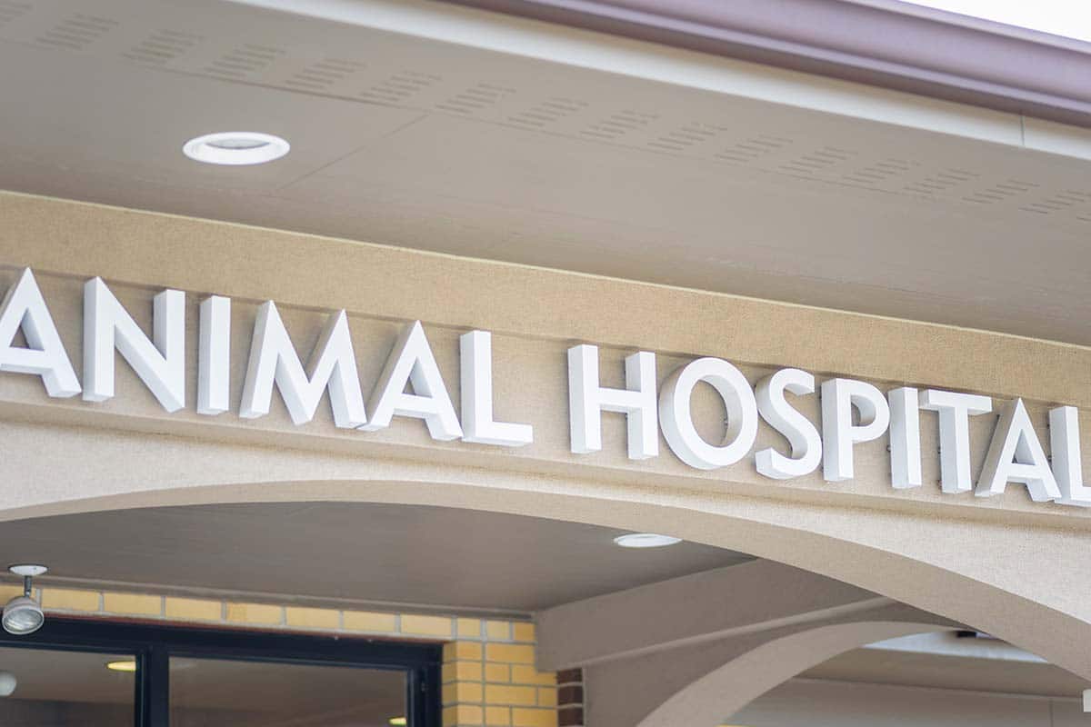 Exterior Channel Letter Sign for Animal Hospital in Conroe, TX