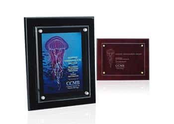 Universal_Sign_&_Graphics_350x250_0012_Awards_Promotional_Products